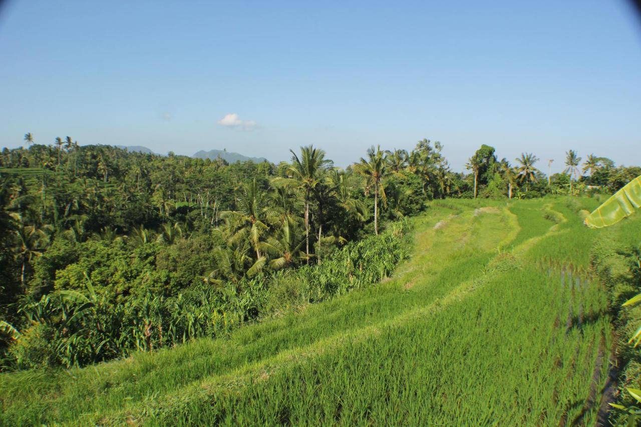 Telagamas Guest House Banjarangkan Buitenkant foto