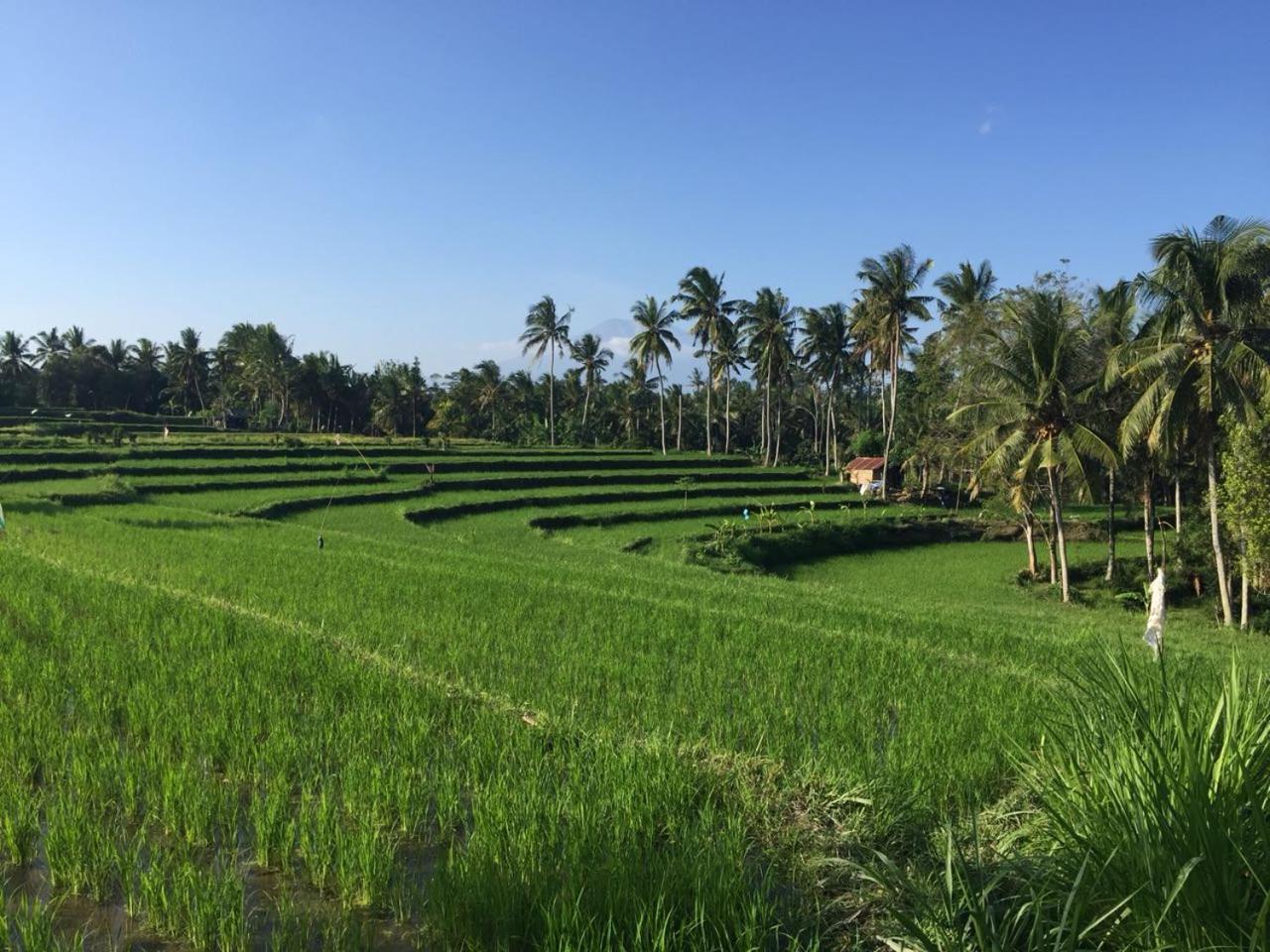 Telagamas Guest House Banjarangkan Buitenkant foto
